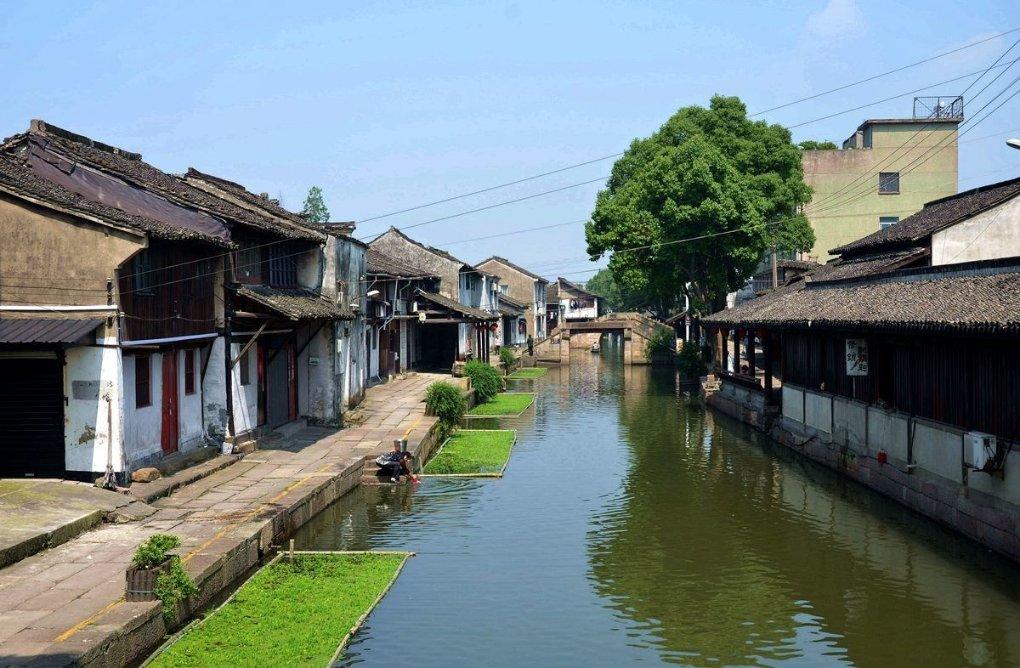 开展“黄河流域生态保护”专项民主监督 以政协之力助推美丽山东建设